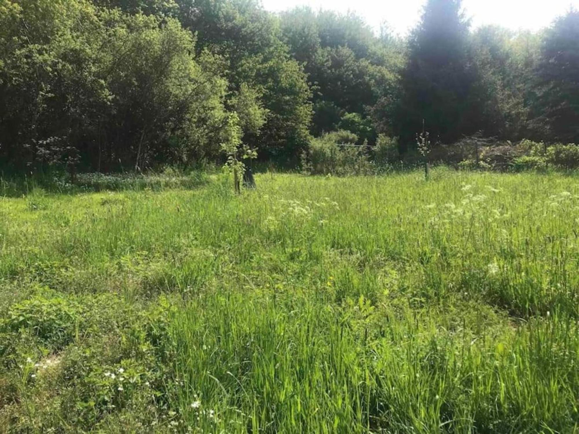 Apartment With Garden In A Wooded Setting Auw bei Prum エクステリア 写真