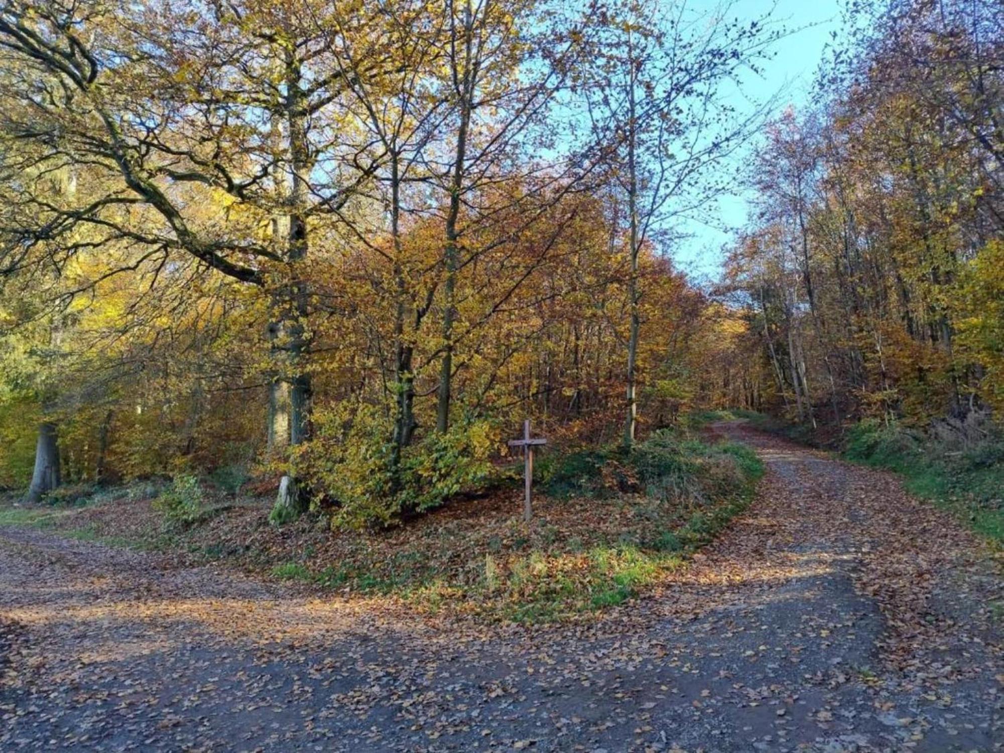 Apartment With Garden In A Wooded Setting Auw bei Prum エクステリア 写真