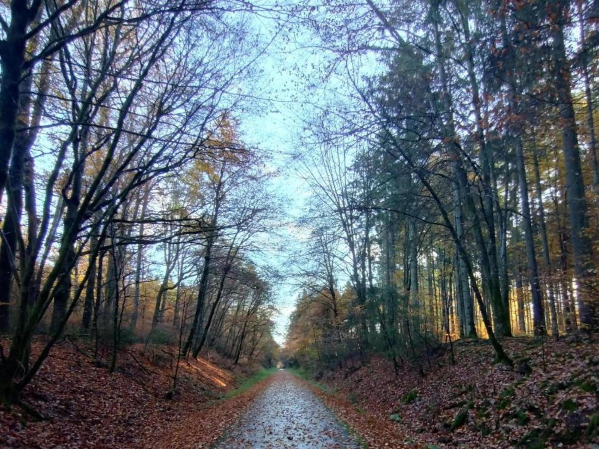 Apartment With Garden In A Wooded Setting Auw bei Prum エクステリア 写真